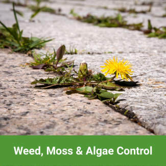 View All Weed, Moss & Algae Control